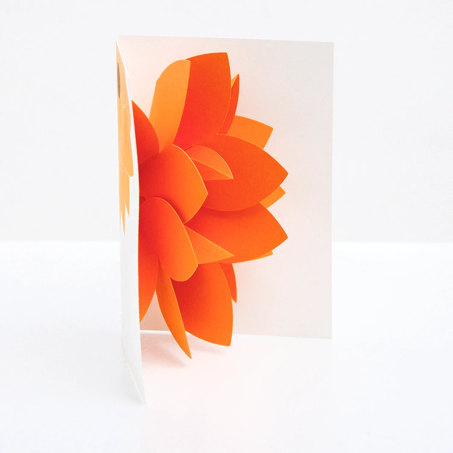 CHISATO TAMABAYASHI ORANGE FLOWER POPUP CARD - Image 3