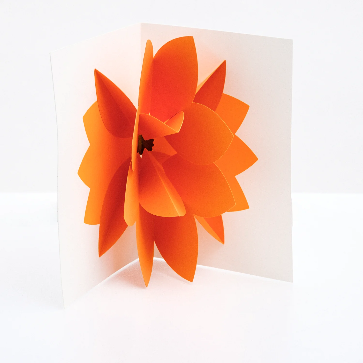 CHISATO TAMABAYASHI ORANGE FLOWER POPUP CARD - Image 4