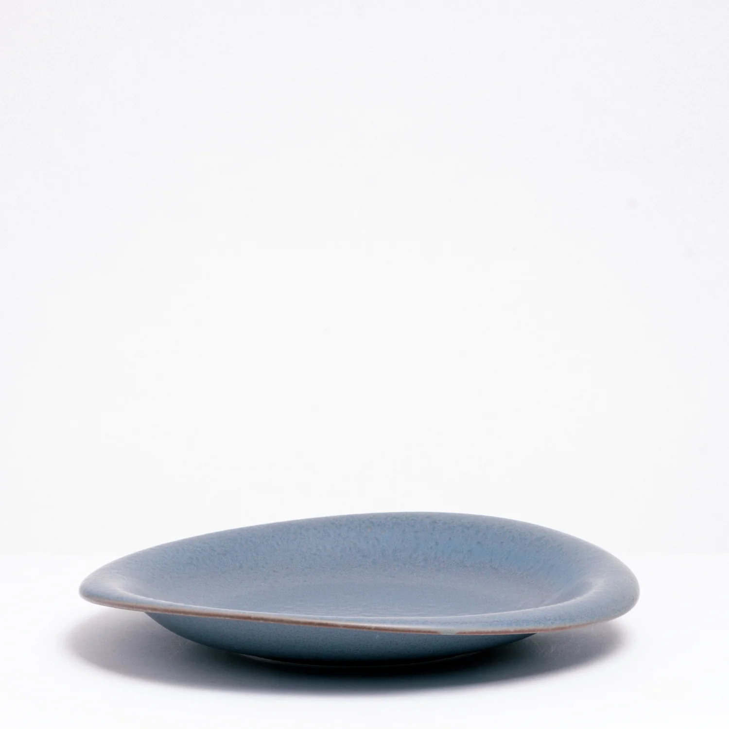 MINO-YAKI FLARE DINNER PLATE - Image 4
