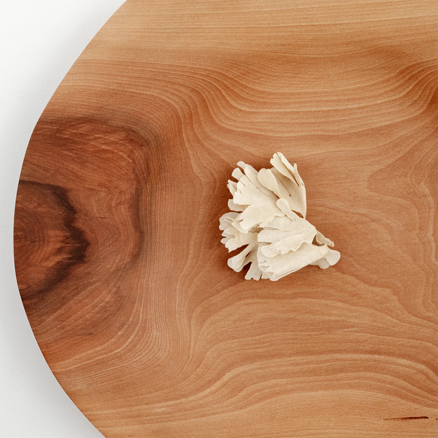 SOLMU PUUT NATURAL PLATE B SOLD OUT - Image 4